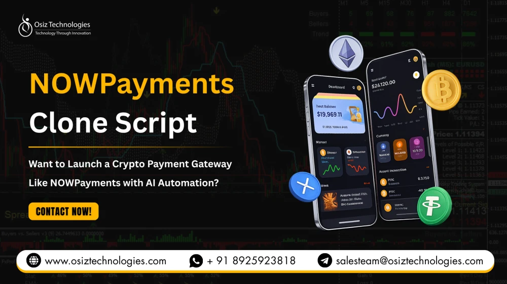 Want to Launch a Crypto Payment Gateway Like NOWPayments with AI Automation