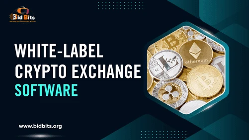 Integrate KYCAML APIs into White Label Crypto Exchange Development