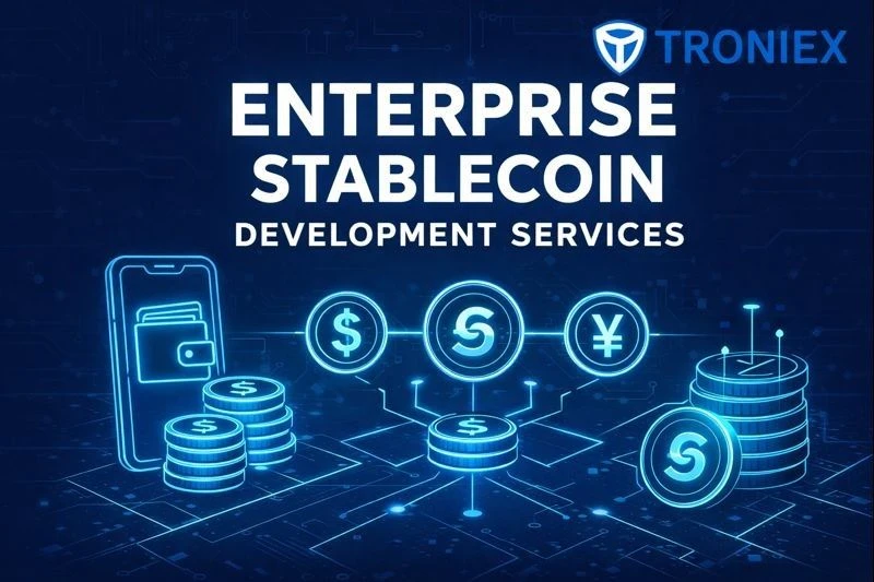 Best Enterprise Stablecoin Development Company