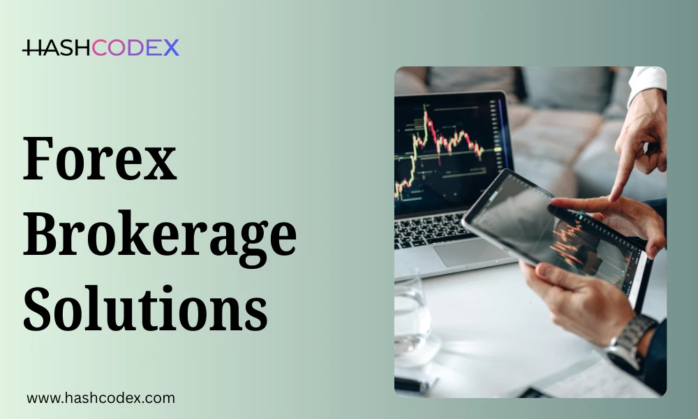 End-to-End Forex Broker Solutions Provided by hashcodex