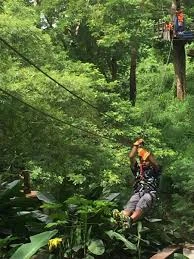 Sleeping Giant Zipline Fiji Adventure Trending Travel Must-Do
