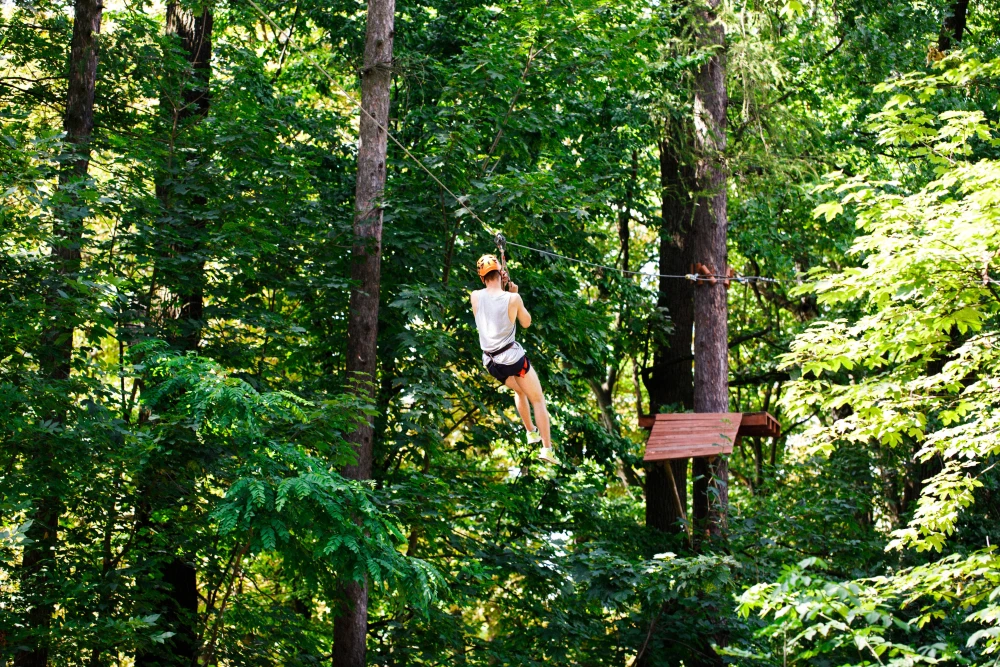 Top Fiji Zipline Tour Fly Over Rainforest & Stunning Island Views