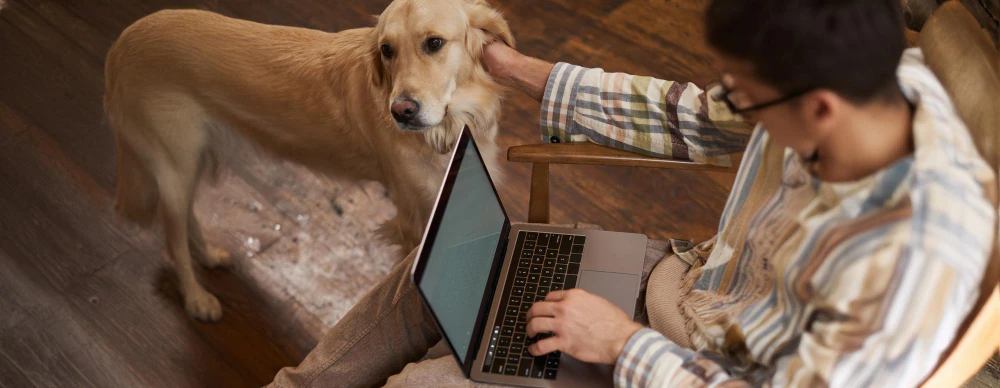 Safe & Fun Platform for Pet Socialization