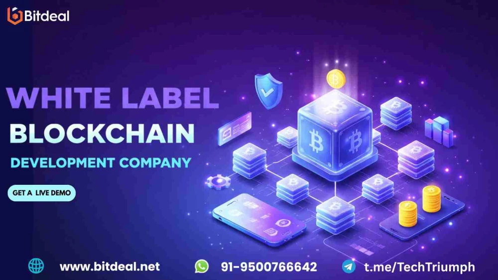 Start Your Own Blockchain Business with White Label Blockchain Development - 30%