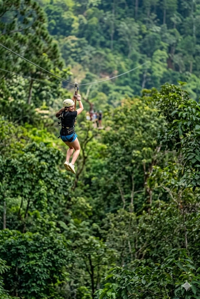 Best Zipline Tour Near You Safe, Fun & Unforgettable Adventure