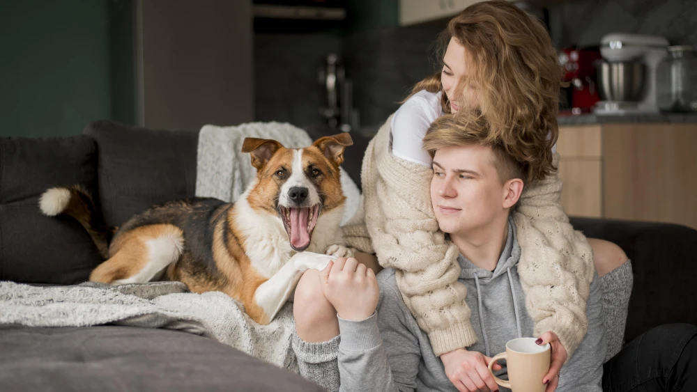Hire Trusted Pet Care Experts