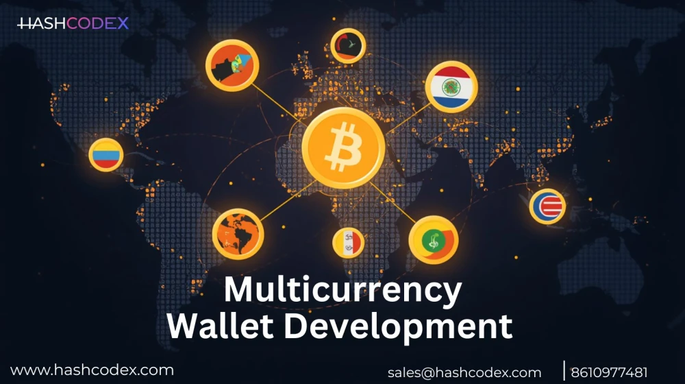 Get Full Ownership of Your Multicurrency Wallet in a Day