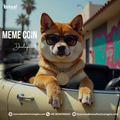 Top Reasons Why Custom Meme Coins Are the Future of Crypto Investing- Beleaf Tec