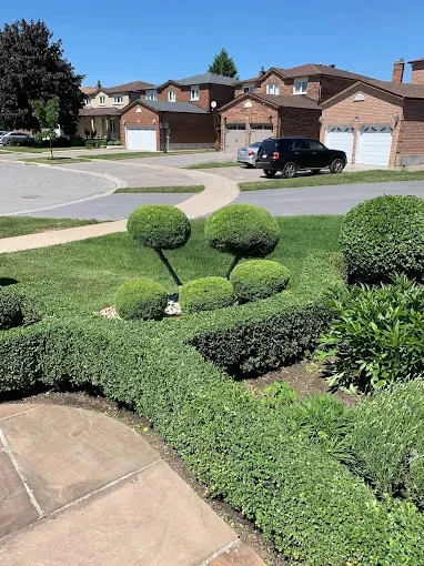 Green Eyes Landscape Inc