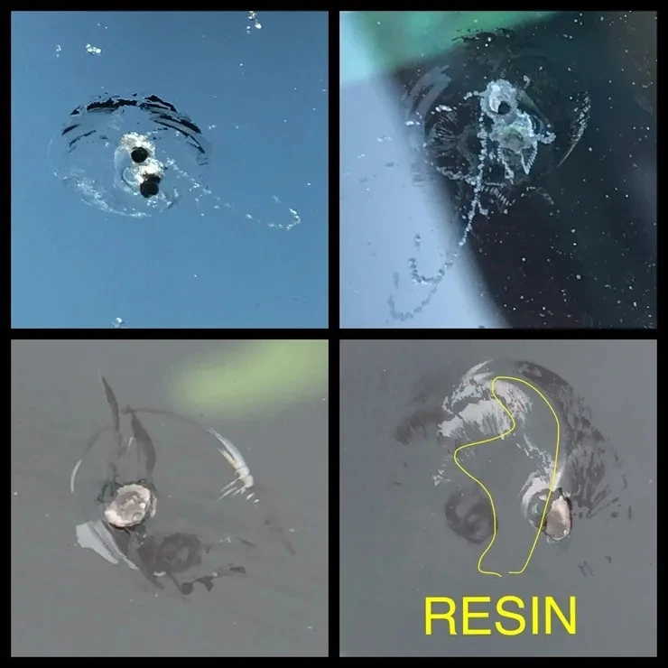 Windshield Stone Chip Repair