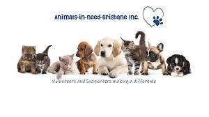 join-us-in-creating-pawsitive-change-animal-charity-event-extravaganza-big-16
