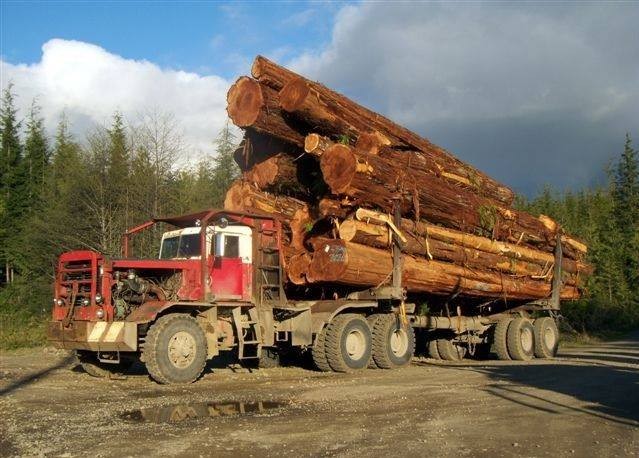 hayes-hdx-logging-truck-gm-v12-cw-13-speed-91000-lb-planetary-read-ends-and-12-foot-logging-bunks-and-trailer-big-4
