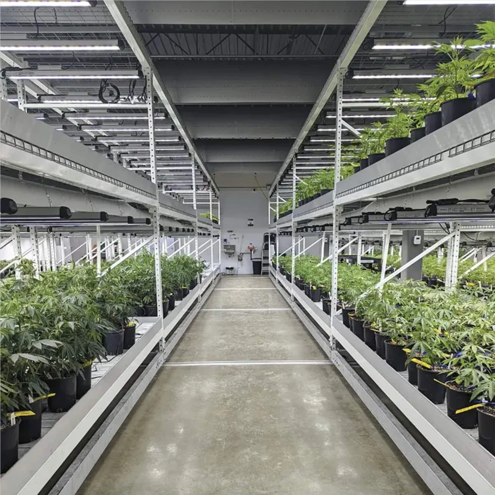Mobile Vertical Grow Rack System