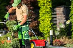 Quiet Nature – Professional Gardening & Landscaping Services in Canada