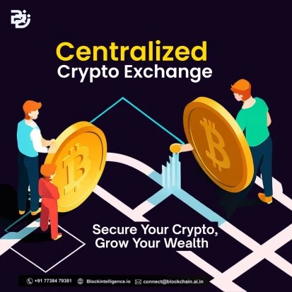 Best Centralized Crypto Exchange development company - Block Intelligence