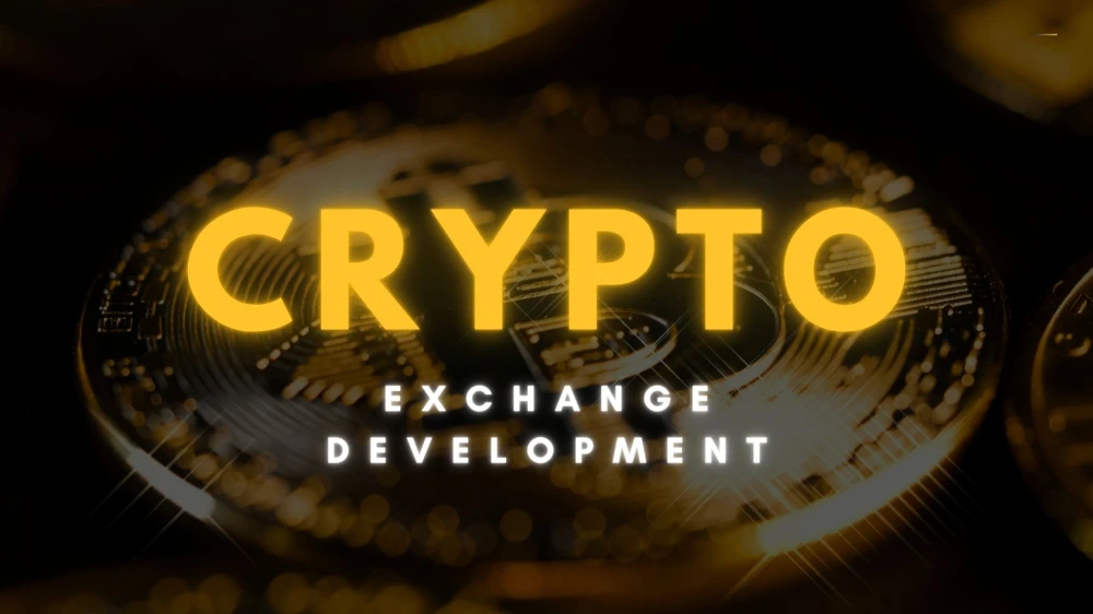 Ready to Build a Crypto Exchange: Which Company Should I    Choose?