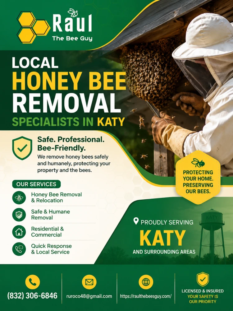 Local Honey Bee Removal Specialists in Katy