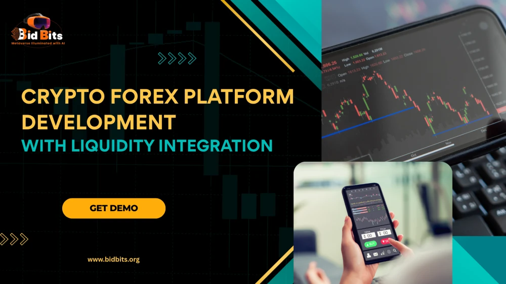 Crypto Forex Platform Development With Liquidity Integration