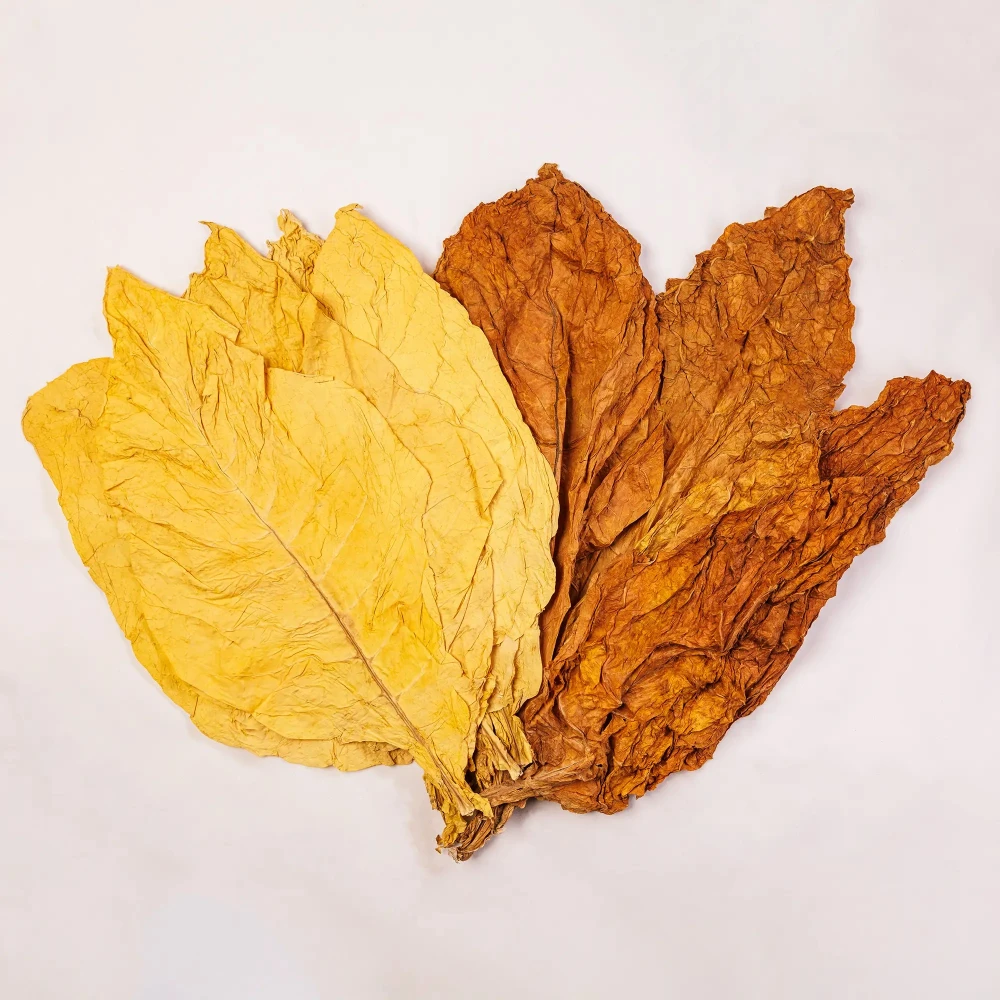 Buy Tobacco Leaf Online  Premium Raw Tobacco Leaves for Sale