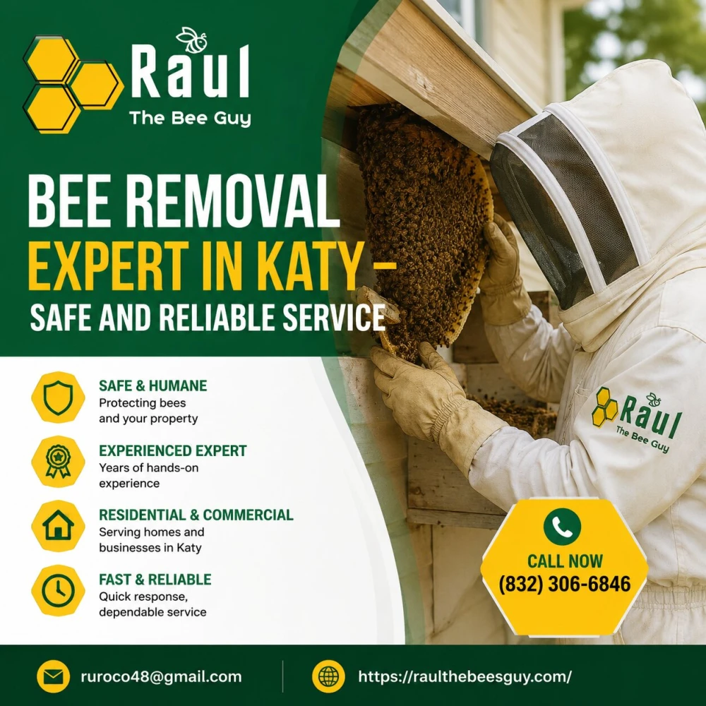 Bee Removal Expert in Katy  Safe and Reliable Service