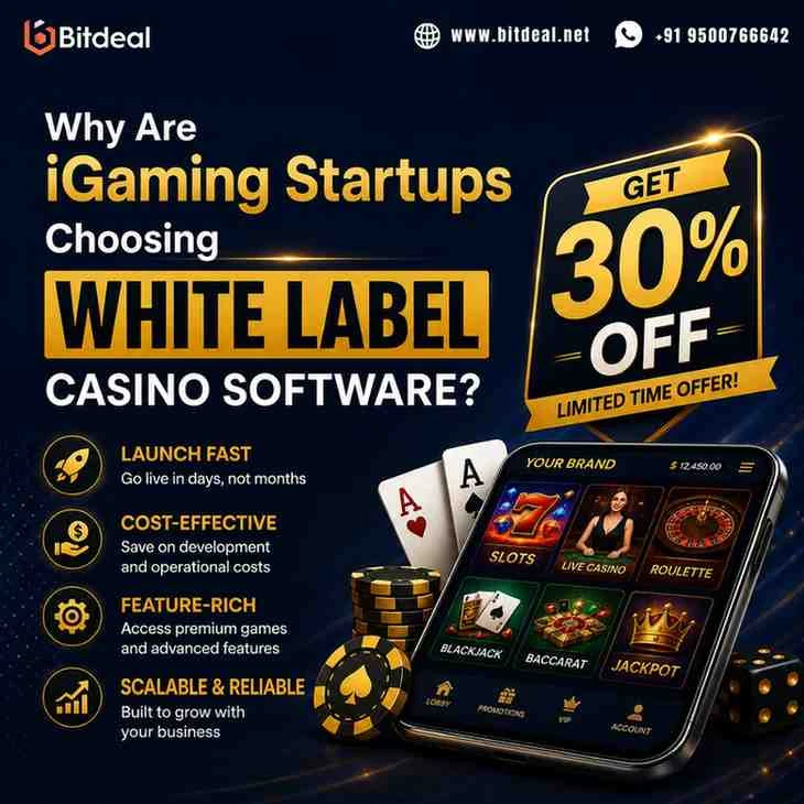 Have a Sweepstakes Casino Idea Lets Build It  30 OFF Today