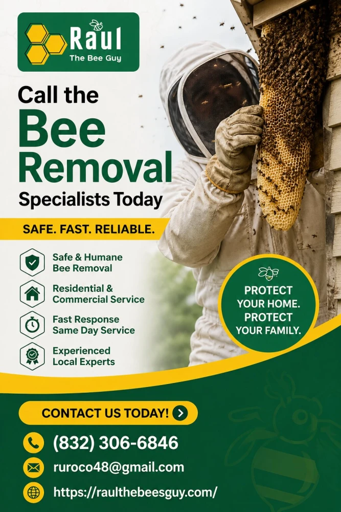 Call the Bee Removal Specialists Today