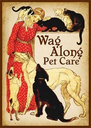 Doggie Daycare Woodstock