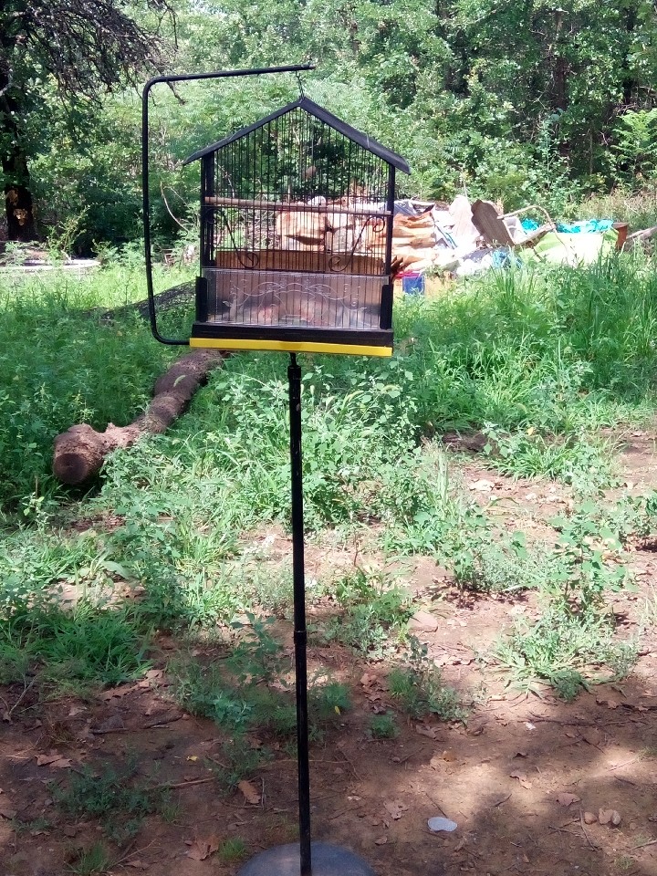 Cages