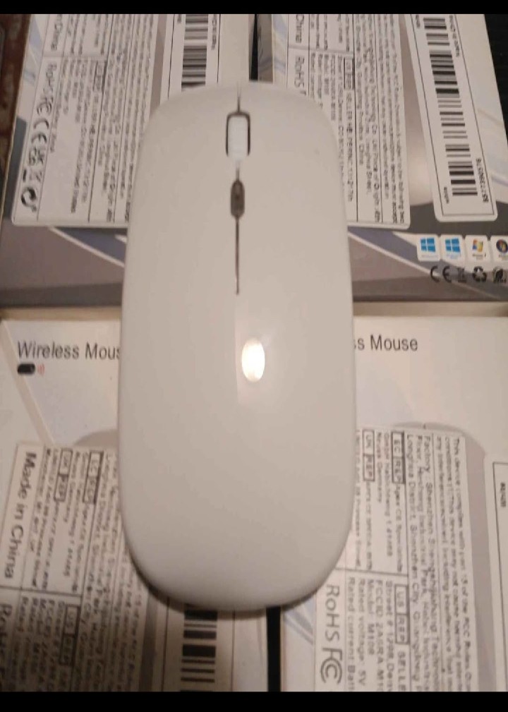 USB WIRELESS MOUSE (EACH)