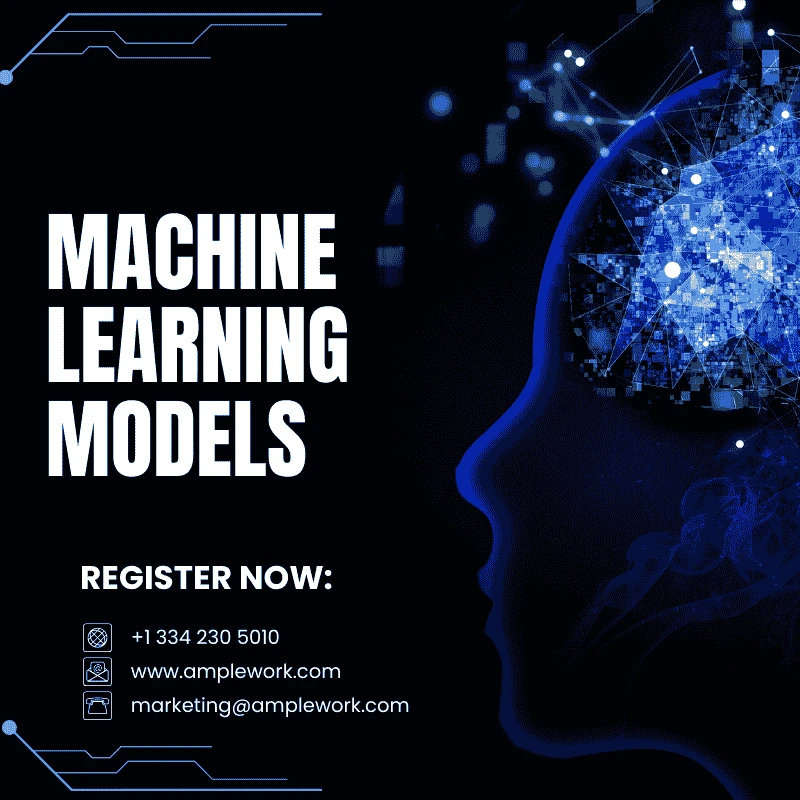 How ML Models Turn Raw Data Into Powerful Decisions