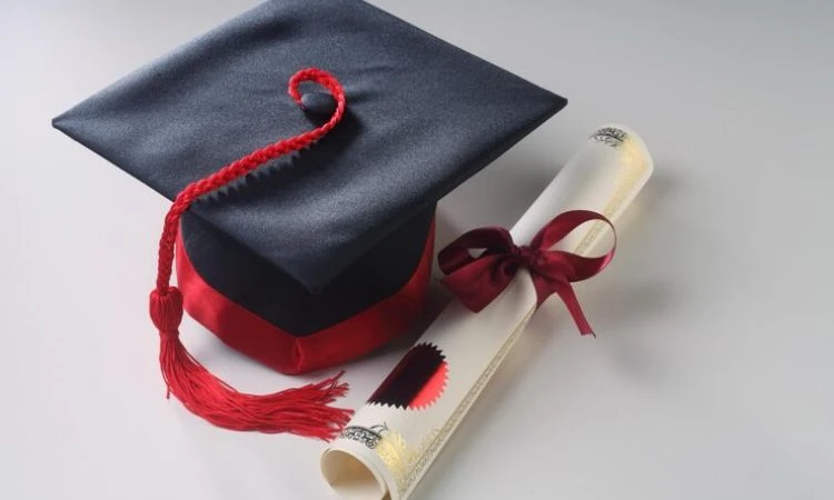 A Complete Guide to Graduation Regalia: Gowns, Caps, and Stoles