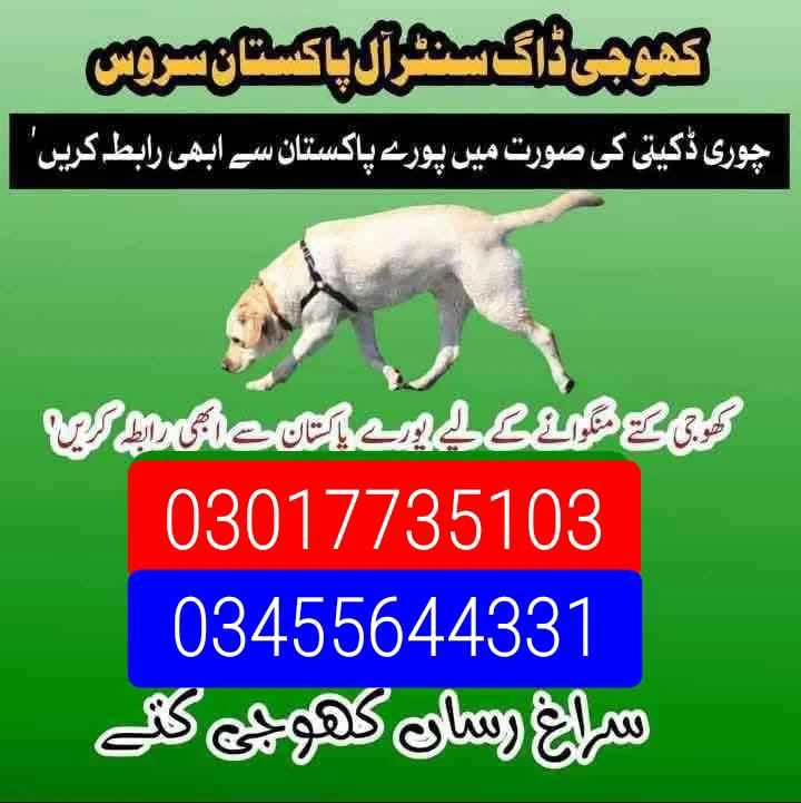 Army dog center 03017735103 (کھوجی کتے)