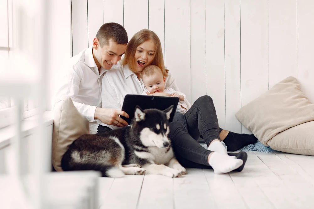 Online Pet Community App for Modern Pet Parents