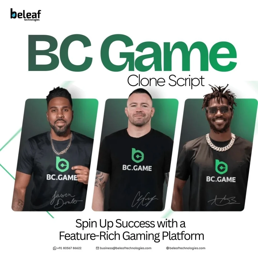 Build a BC-Style Casino Without the Heavy Dev Costs