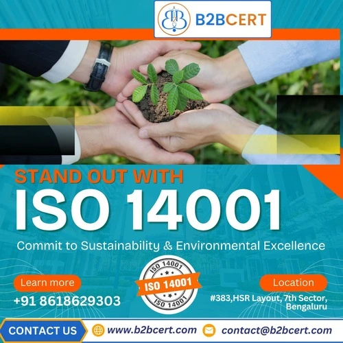 How Can ISO 14001 Certification Services in Austin