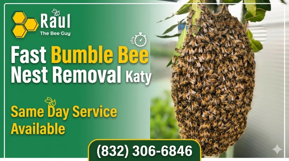 Fast Bumble Bee Nest Removal Katy – Same Day Service Available