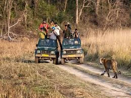 Moradabad to Jim Corbett taxi Fare | Moradabad to Jim Corbett Cab