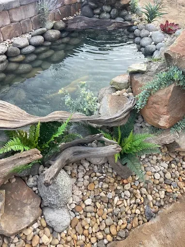 Caribbean Landscaping