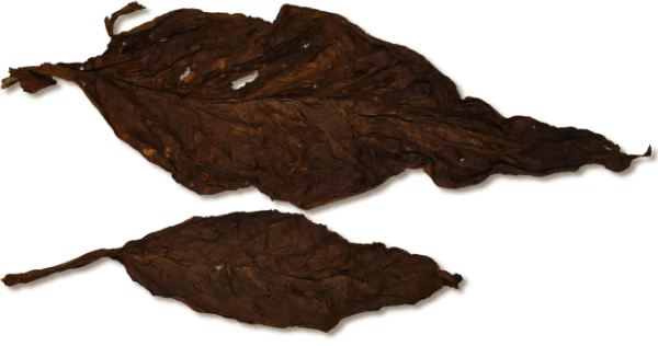 Order Dark Air Cured Tobacco
