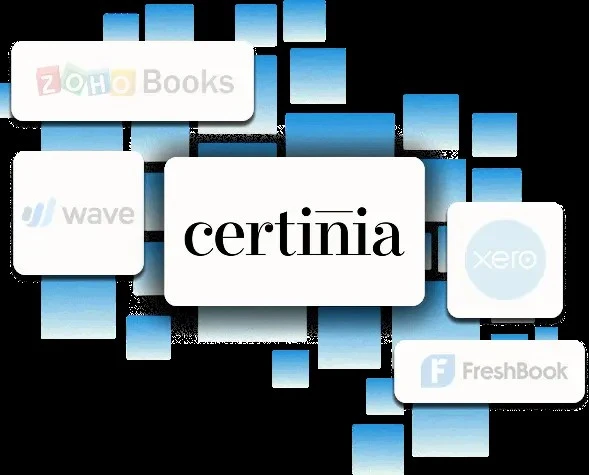 Certinia Accounting Implementation Services A Complete Guide