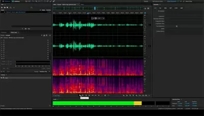 Professional Audio Editing Services with 2000+ Words Article