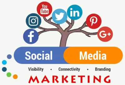 Professional Social Media Marketing Services for Your Business